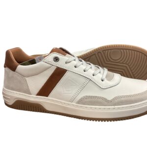 Sate Dubarry Trainer