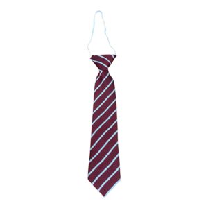 St.Marys Primary School Tie